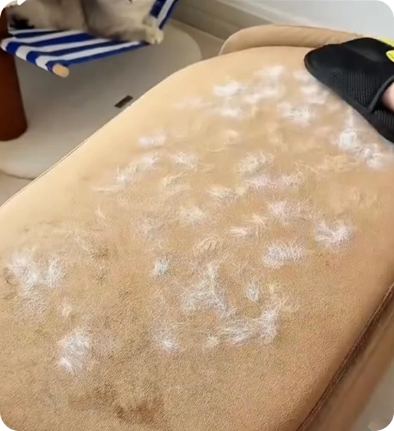 Fabric before pet hair removal