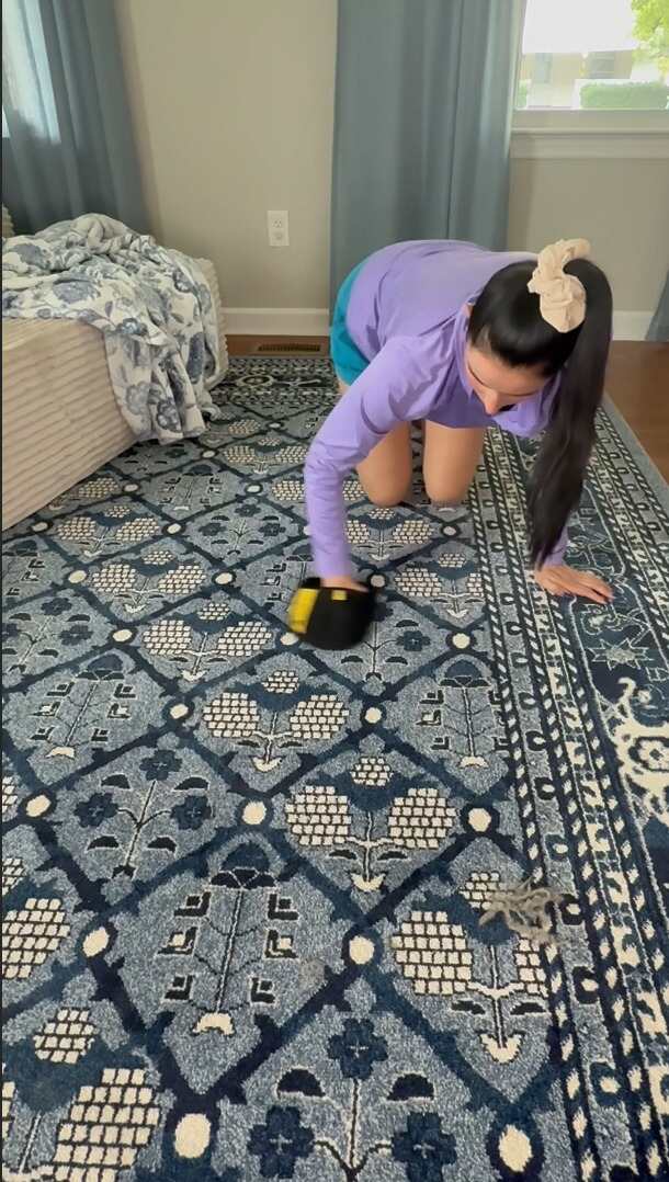 Cleaning a rug with a pet hair glove